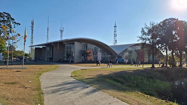 istock Library at Sorocaba's city hall 2233156933