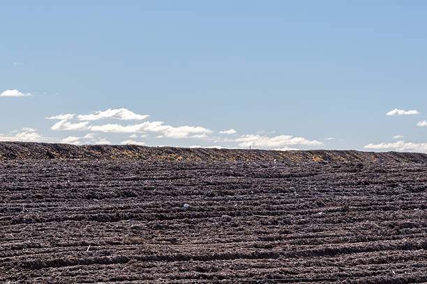Former mining land prepared for environmental regeneration, showing cleared terrain and restoration potential. A landscape highlighting sustainable land management, ecological recovery, and post-mining rehabilitation