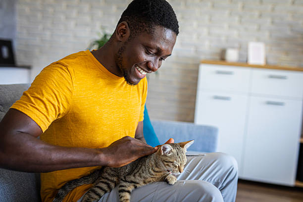 istock Relaxed man sitting on the sofa at home while gently petting his cat 2233158744