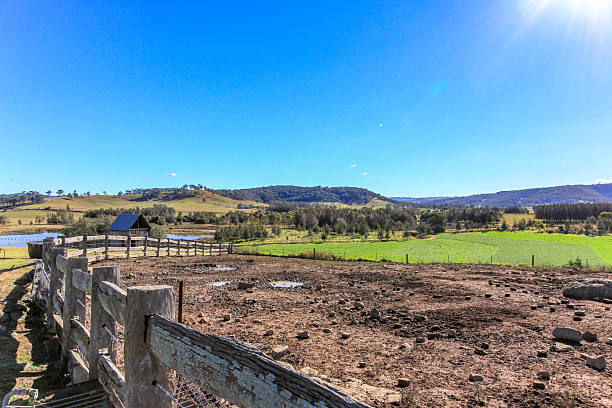 istock Pig pen on a rural farm under a clear blue sky 2233159432