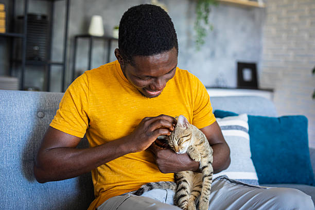 istock Relaxed man sitting on the sofa at home while gently petting his cat 2233160303