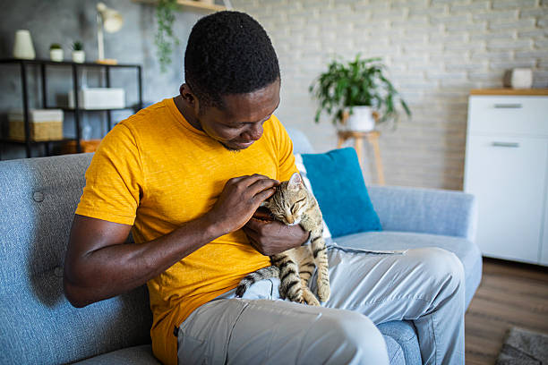 istock Relaxed man sitting on the sofa at home while gently petting his cat 2233161775