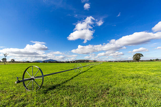 Travelling irrigator watering lush green farmland under a cloudy blue sky. Agricultural scene highlighting modern irrigation technology, sustainable farming, and productive rural landscape