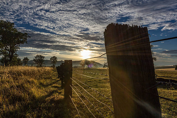 Sunrise illuminating a tranquil rural landscape, casting warm light over fields, trees, and open countryside. Scenic scene capturing pastoral charm, natural beauty, and early morning serenity