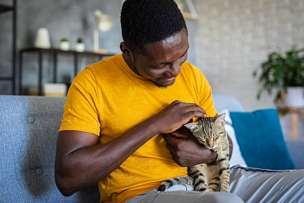istock Relaxed man sitting on the sofa at home while gently petting his cat 2233162560