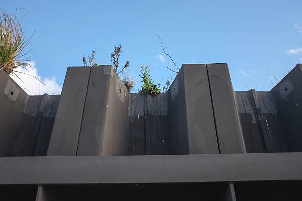 istock Plants and small fauna emerging through cracks in a concrete shipping dock 2233163405