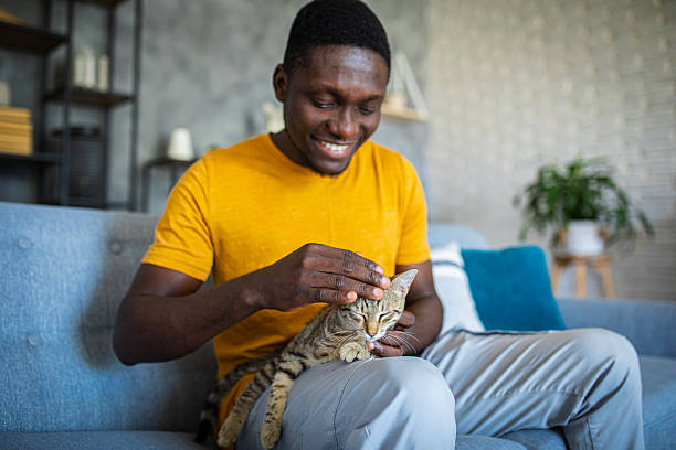 istock Relaxed man sitting on the sofa at home while gently petting his cat 2233163539