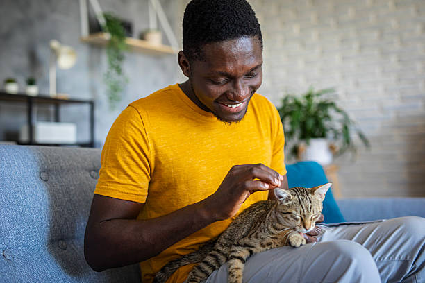 istock Relaxed man sitting on the sofa at home while gently petting his cat 2233165485