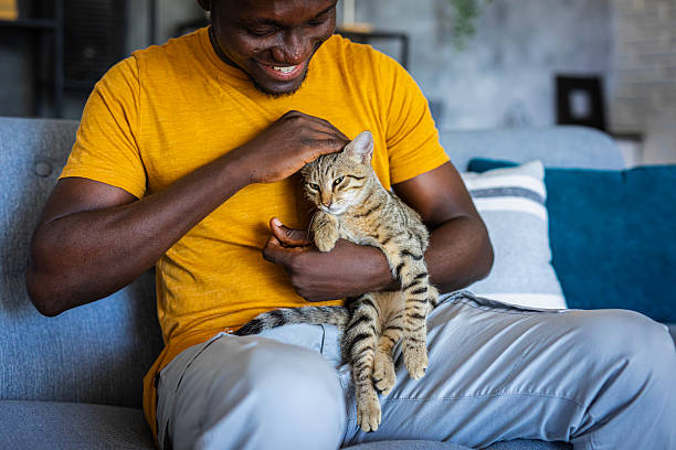 istock Relaxed man sitting on the sofa at home while gently petting his cat 2233165582