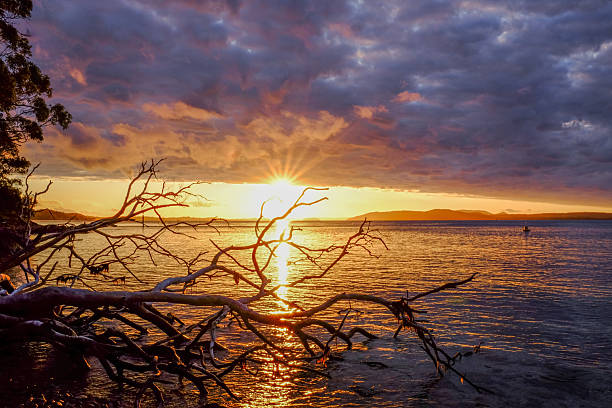 Silhouette of a tree branch resting in calm water beneath a dramatic sunset sky. Scenic landscape capturing tranquil reflection, vibrant colors, and atmospheric natural beauty