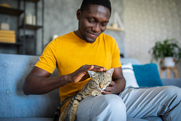 istock Relaxed man sitting on the sofa at home while gently petting his cat 2233166509
