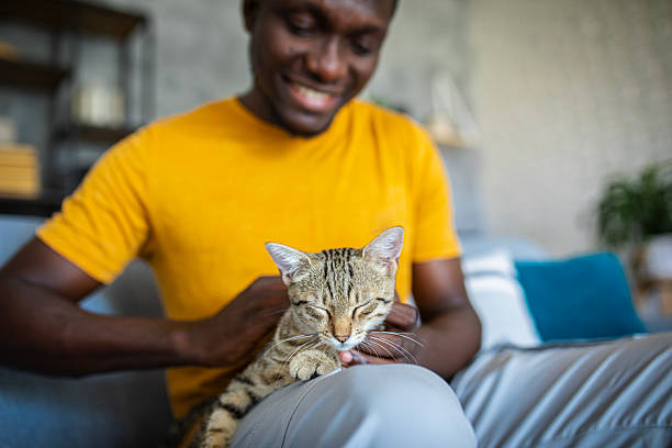 istock Relaxed man sitting on the sofa at home while gently petting his cat 2233167712