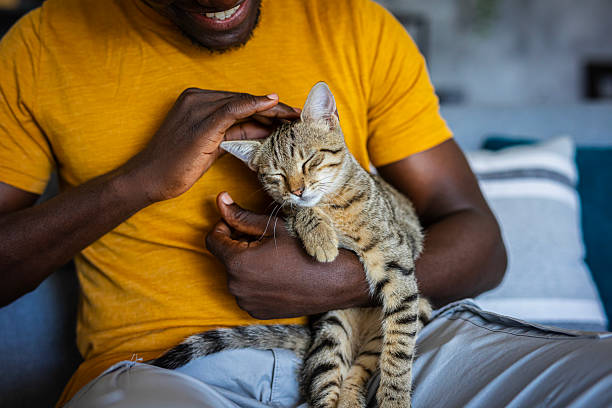 Relaxed man sitting on the sofa at home while gently petting his cat