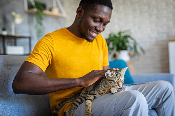 istock Relaxed man sitting on the sofa at home while gently petting his cat 2233168807