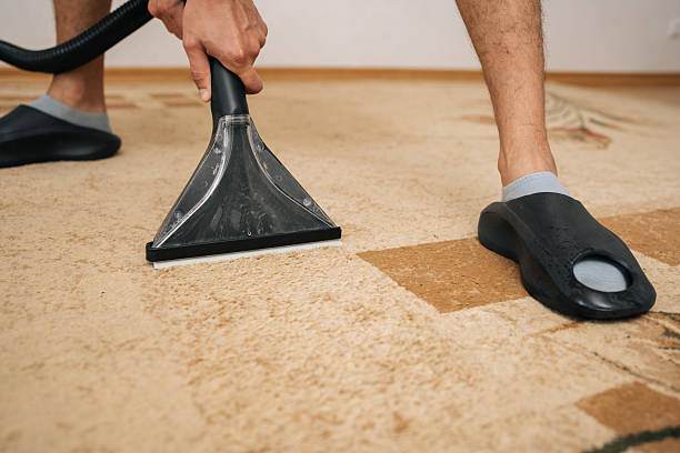 istock Close-up cropped shot of unrecognizable cleaning service worker using professional washing vacuum cleaner to remove dirt and dust from carpet 2233169628