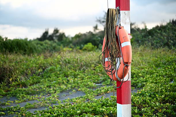 A red-and-white striped pole on sandy ground holds an orange lifebuoy with rope. Rounded green plants grow nearby, with a softly blurred background of coastal vegetation in gentle light.