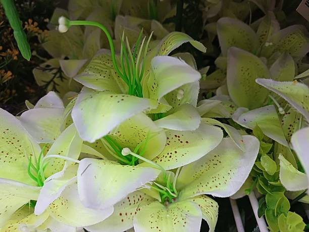Various types and colors of plastic flowers which are usually used as indoor decorations are displayed neatly on the shelves of a supermarket and are among the items that many buyers are looking for