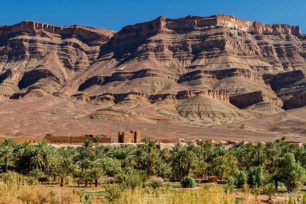 istock Desert landscape with mountains and palm trees in Morocco. 2233181947