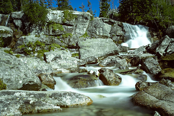 A beautiful waterfall on a mountain river flowing among rocks and stones