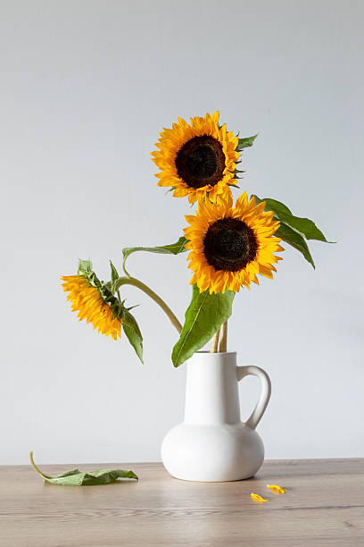 istock summer bouquet with sunflowers in white jug  on wooden table 2233196671