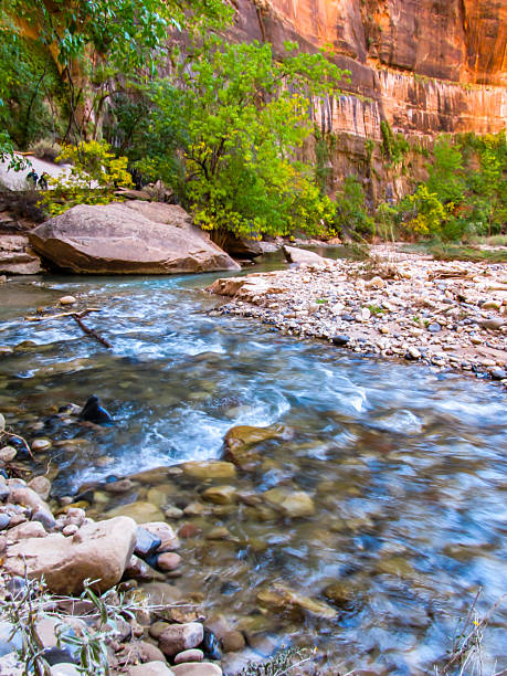 Virgin river in the Narrows of Zion National Park, Utah, SW Utah, USA, North America.
