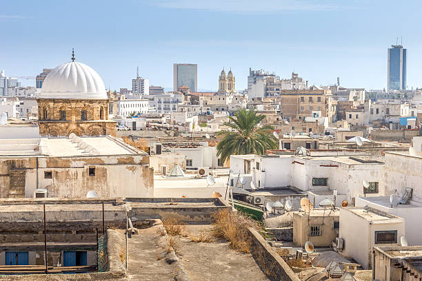 istock Aerial view of Tunis, Tunisia 2233200227