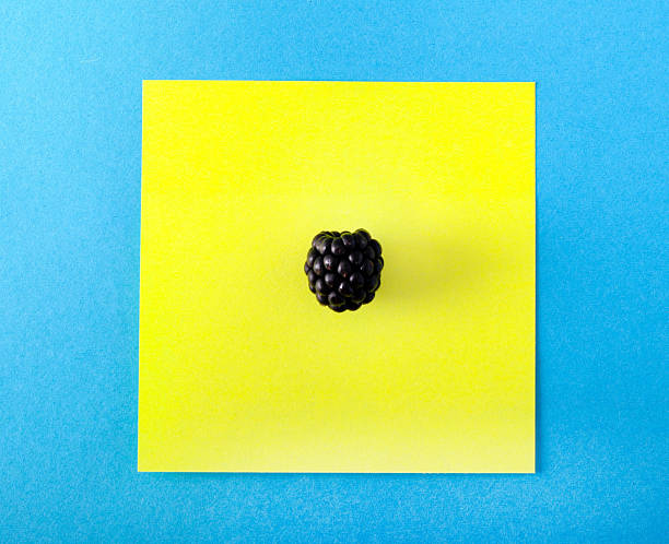 Blackberry on yellow and blue background