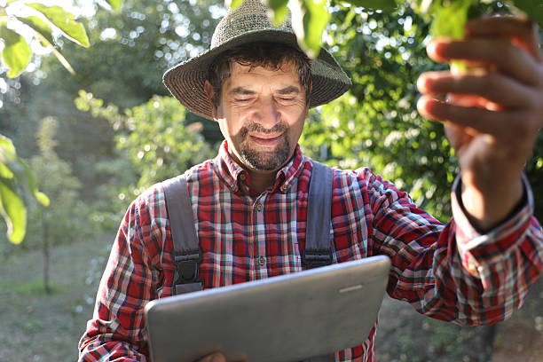 istock Farmer in Plaid Shirt Standing Among Pear Trees and Using Technology 2233200911