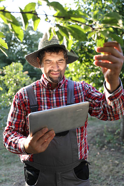 istock Modern Farmer Using Tablet for Digital Management of Pear Orchard 2233200959