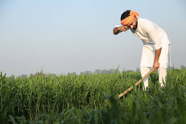 Tired Indian farmer hard working on Farm with shovel in hand in bright sunlight