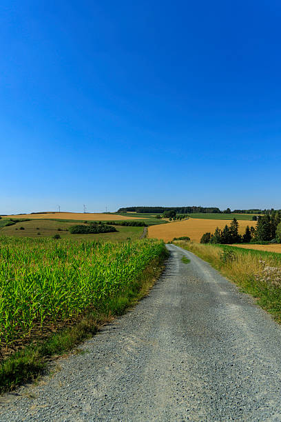 istock Rural path through cultivated fields under clear summer sky with wind turbines visible 2233204045