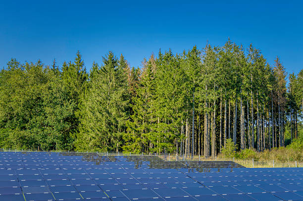 istock Solar panels in a natural forest environment under a clear blue sky 2233204143