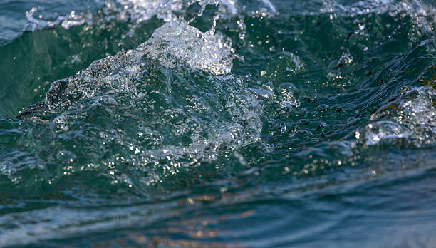 istock Clean water in the lake 2233212320