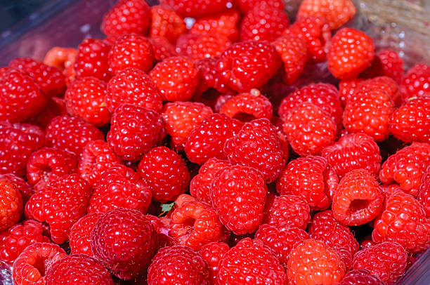 Close-up of fresh raspberries (Rubus idaeus) ready for eating.