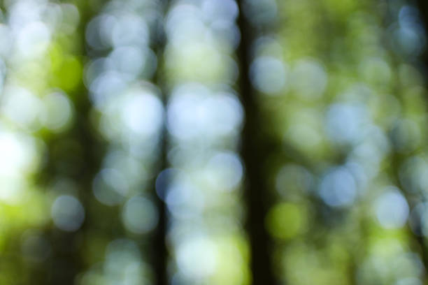 istock Abstract nature bokeh with soft green and blue light patterns 2233224138