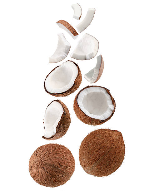 istock Beautifully retouched coconut set. Whole coconuts, halves, large pieces and small thin slices fall in space. Isolated on white 2233228200