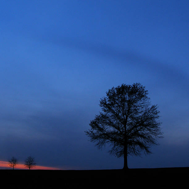 istock Last of the sun 2233230289