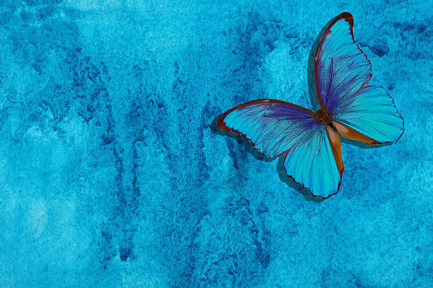 istock Blue morpho butterfly. Abstract blue watercolor background. Blue abstract background. Wet watercolor paper 2233235442