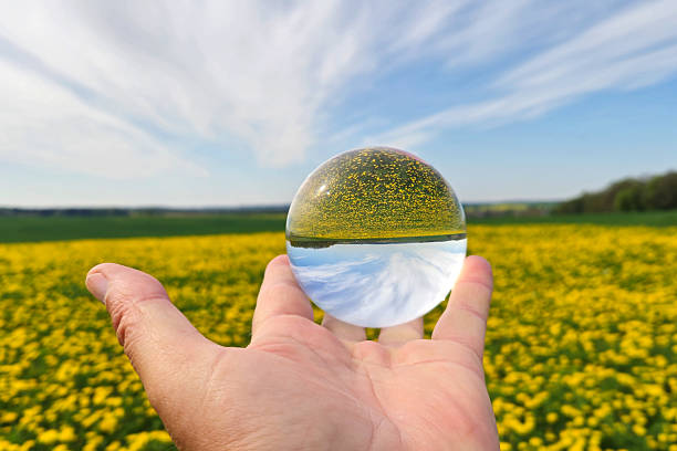 istock Dandelion field in crystal ball 2233236266