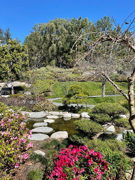 istock Balboa Park in San Diego, California 2233238607