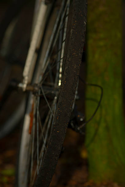 istock Close-Up of a Bicycle Wheel Leaning Against a Tree 2233242697
