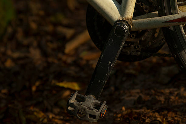 istock A CloseUp View of a Bicycle Pedal Situated on Leafy Ground 2233244516