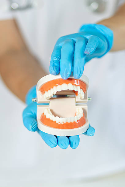 istock Demonstration of dental model showcasing human teeth structure and jaw articulation by a dental professional 2233247472