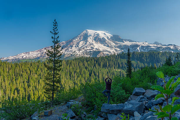istock Rainier Yoga Serenity 2233248348