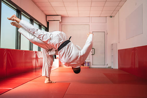 istock Martial artist performing acrobatic kick in dojo 2233249961