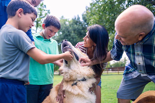 istock Multigenerational hispanic family at home playing with dog 2233254863