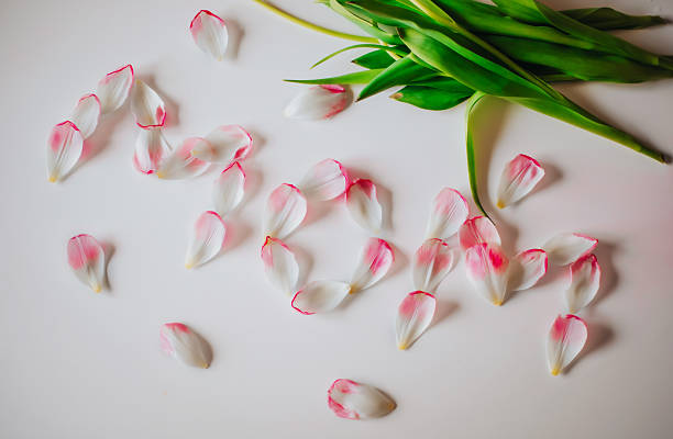 istock Scattered pink and white flower petals with green stems on a clean white surface, creating a minimalistic and romantic floral composition symbolizing fragility and beauty. 2233255168