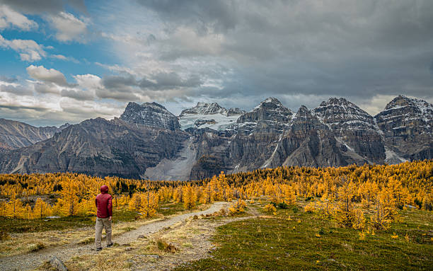 istock Golden Larches, Rocky Mountains Majesty 2233255731