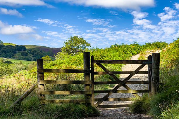 Wooden gate opening onto a hiking trail on Gowbarrow Fell in the Lake District.