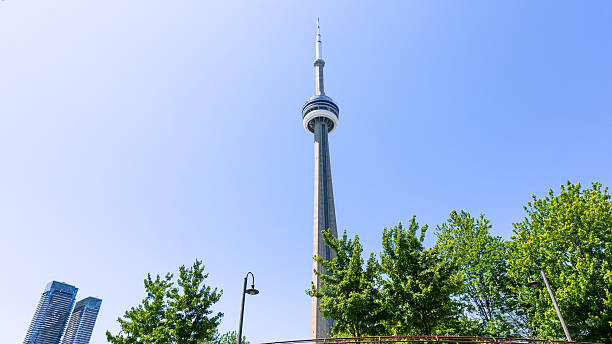 Toronto ON, Canada - June 29, 2025: CN Tower observation tower in Toronto, framed by vibrant trees and a bright blue sky with ample copy space